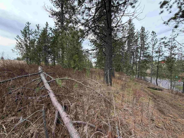 $33,500 | Nka West Emma Street, Rockford, WA 99030