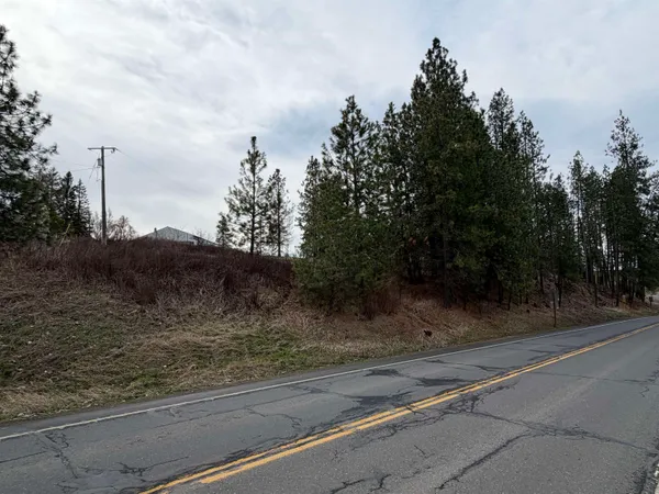 $33,500 | Nka West Emma Street, Rockford, WA 99030