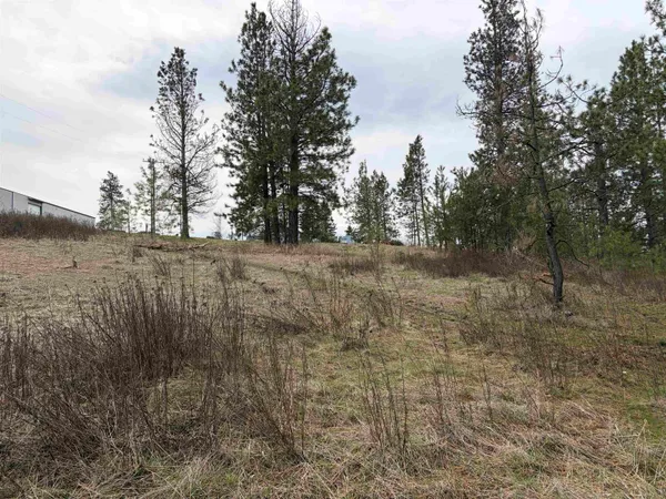 $33,500 | Nka West Emma Street, Rockford, WA 99030