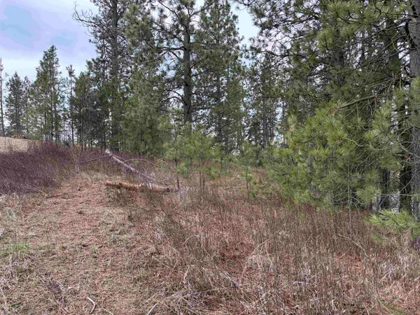 $33,500 | Nka West Emma Street, Rockford, WA 99030