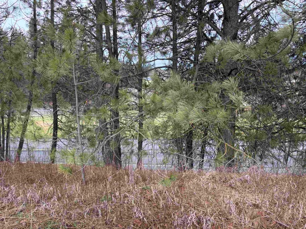 $33,500 | Nka West Emma Street, Rockford, WA 99030