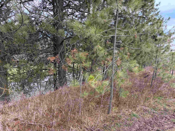 $33,500 | Nka West Emma Street, Rockford, WA 99030