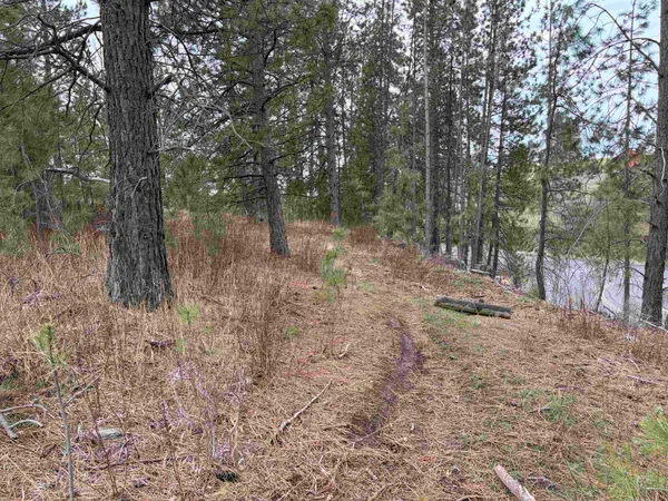 $33,500 | Nka West Emma Street, Rockford, WA 99030