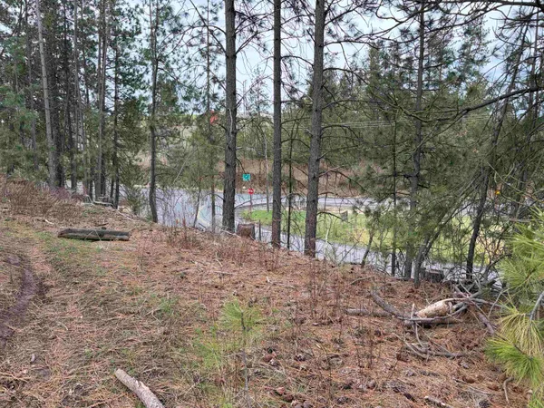 $33,500 | Nka West Emma Street, Rockford, WA 99030