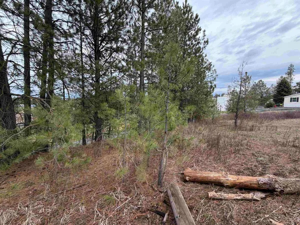 $33,500 | Nka West Emma Street, Rockford, WA 99030