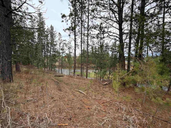 $33,500 | Nka West Emma Street, Rockford, WA 99030