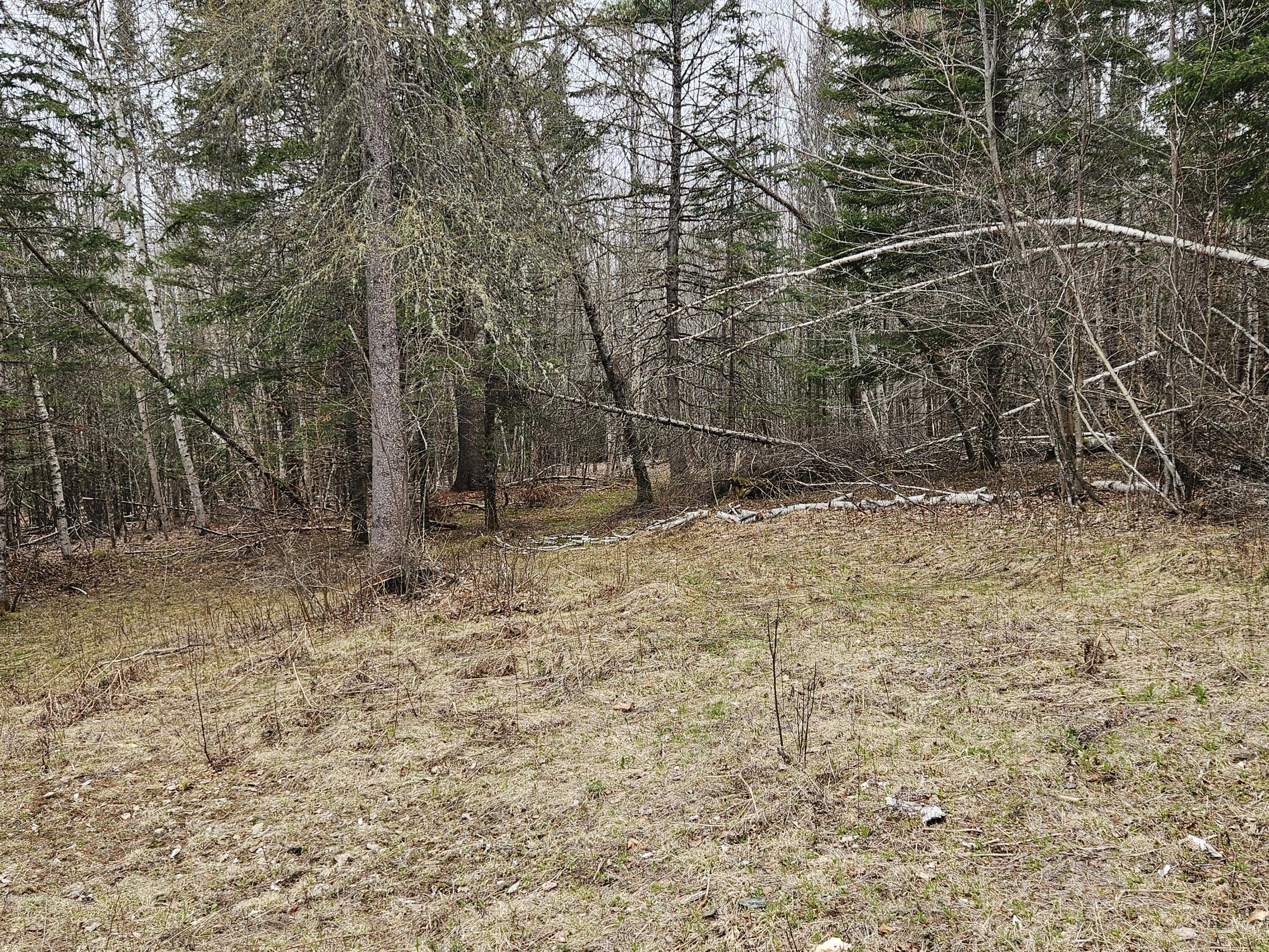 10 Hobbstown Road Milo, ME 04463 - Photo 9 of 11 1000013035