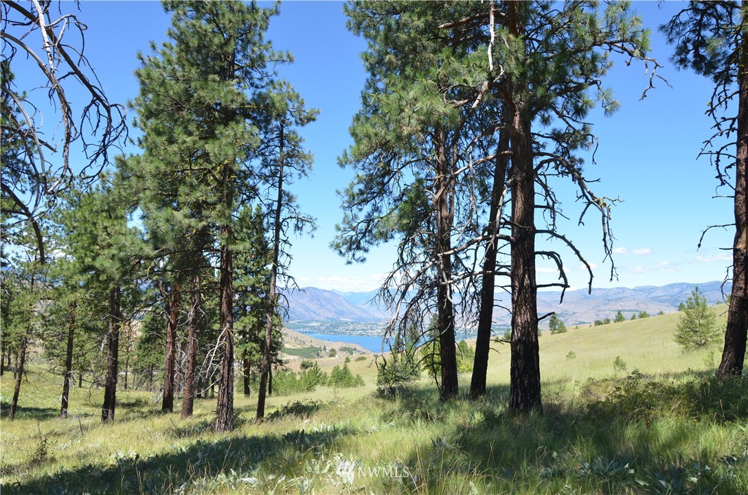 0 Eagle Crest Road Chelan, WA 98816 - Photo 3 of 11 Gallery Image 3