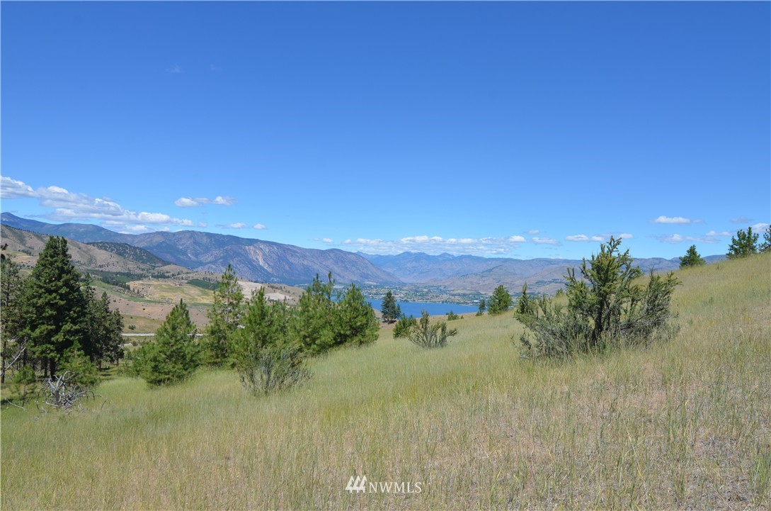 0 Eagle Crest Road Chelan, WA 98816 - Photo 6 of 11 Gallery Image 6