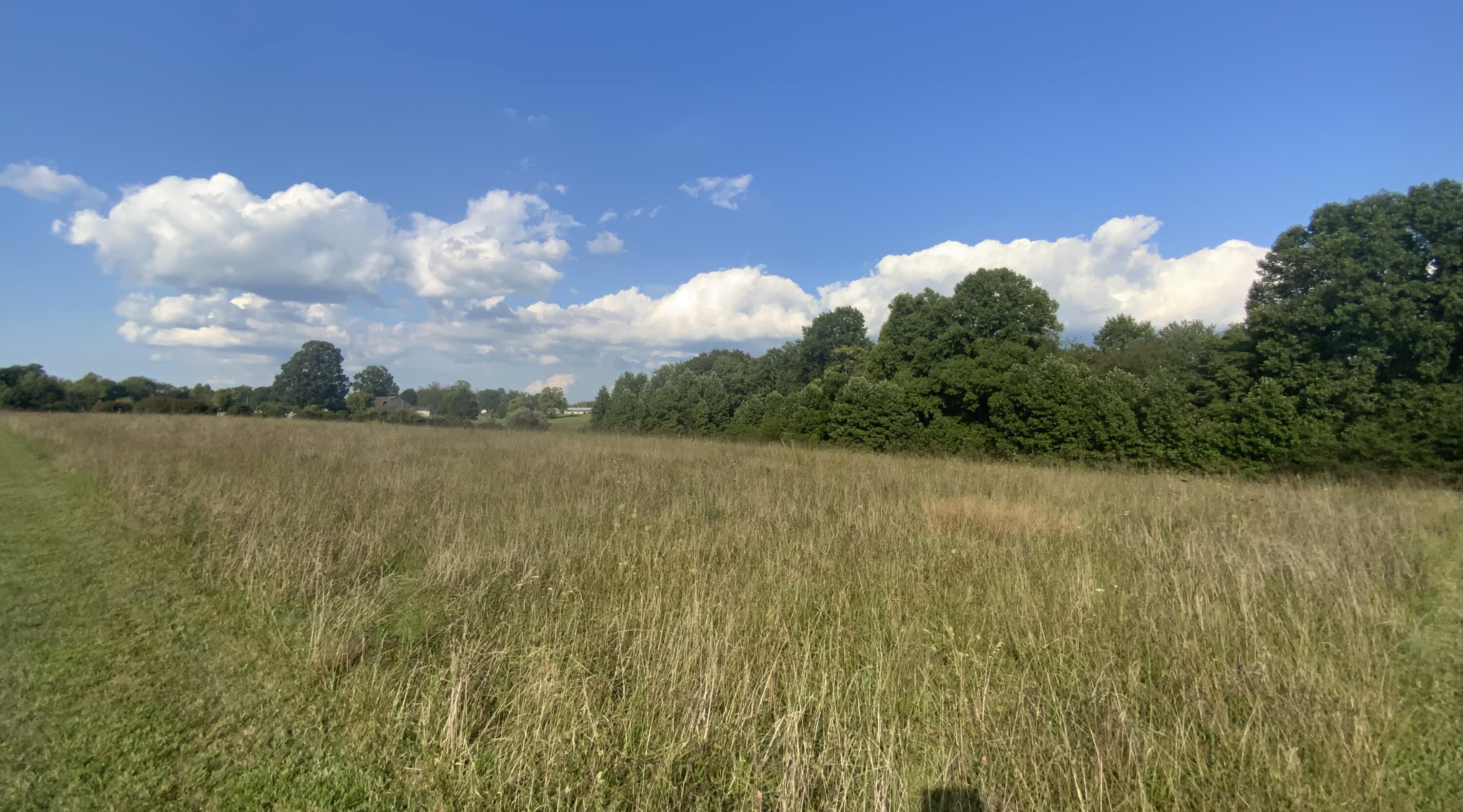 Lot #9 Pleasant Ridge Strunk, KY 42649 - Photo 2 of 3 IMG_9955