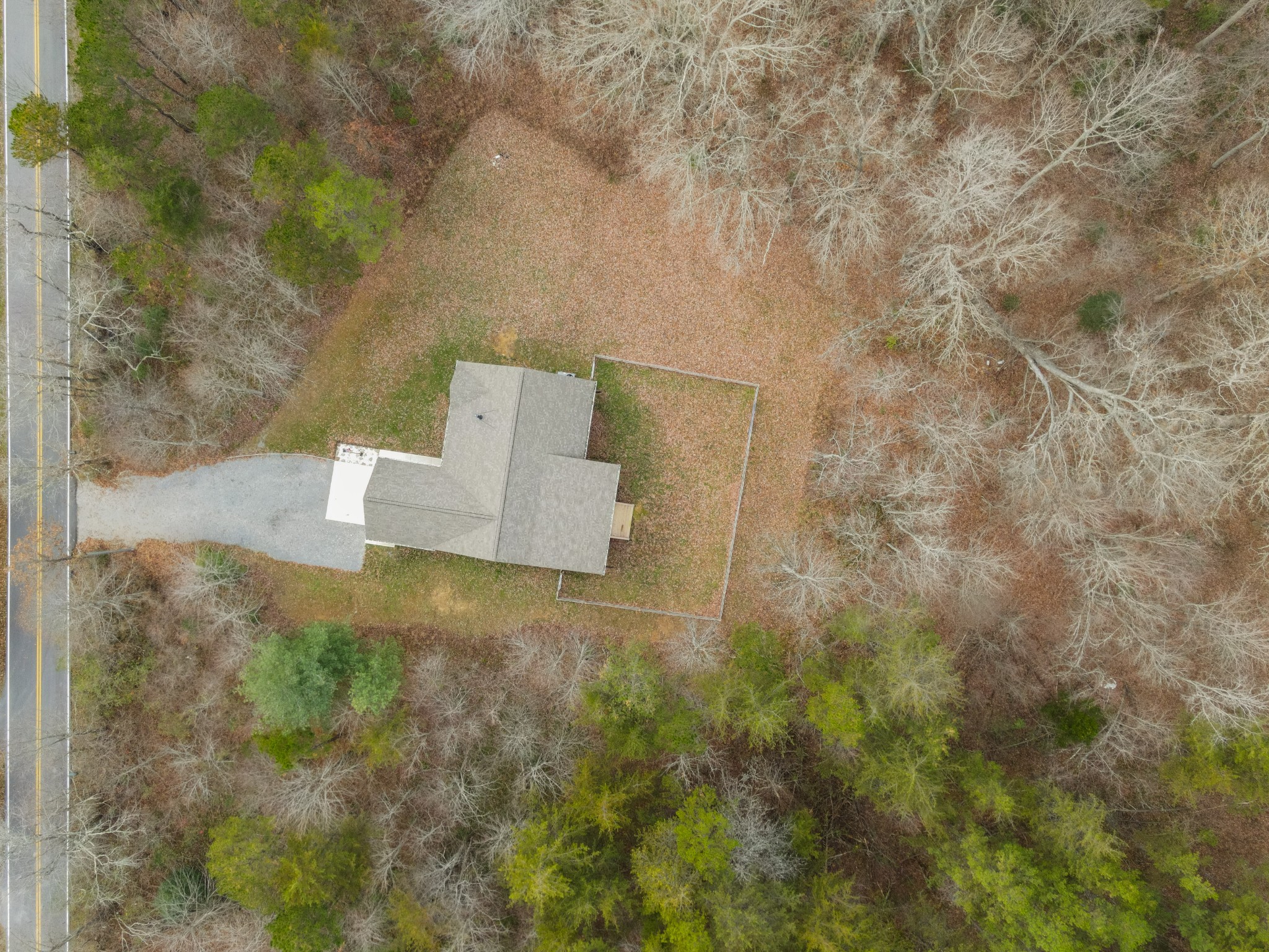 1561 Bicknell Road Clarkrange, TN 38553 - Photo 6 of 44 view of a dry yard with trees