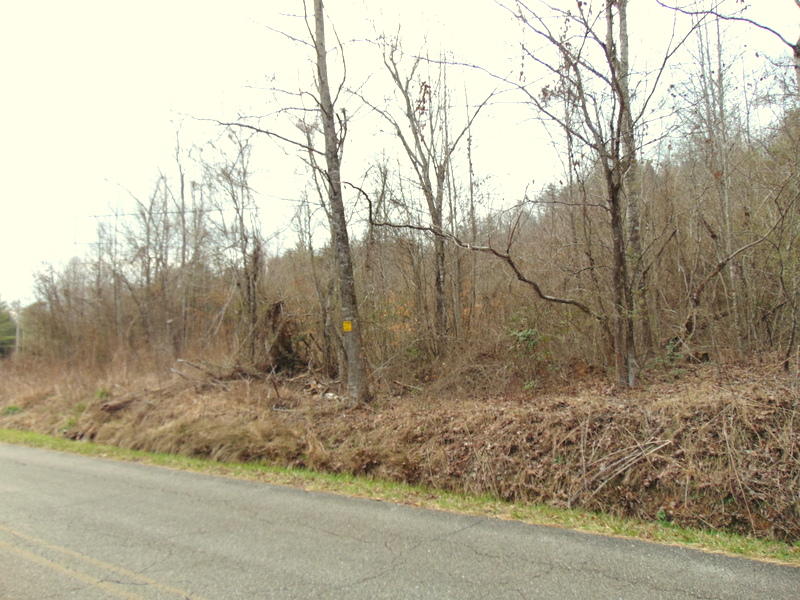 Deermont Road Oakdale, TN 37829 - Photo 4 of 22 DSC05273
