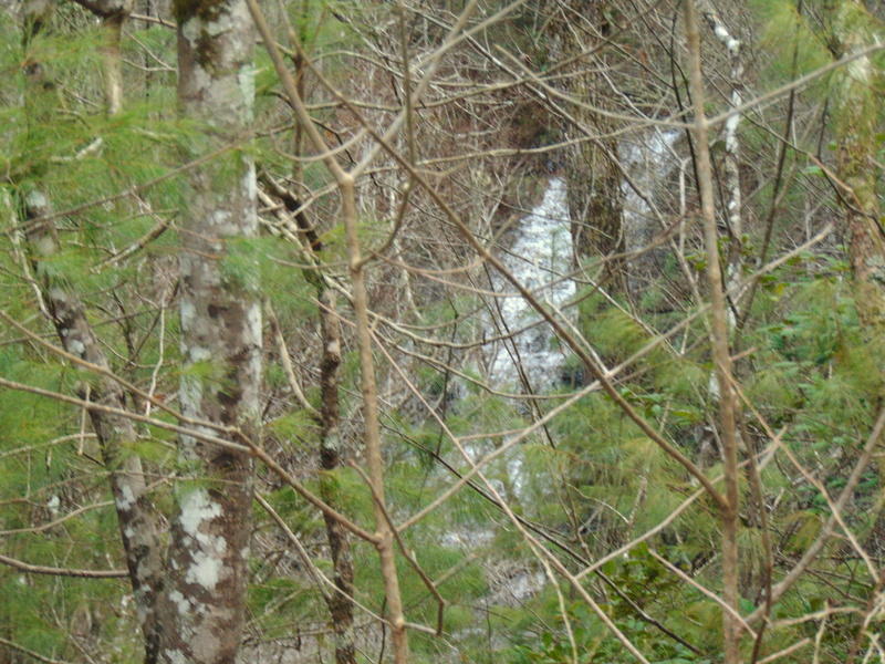 Deermont Road Oakdale, TN 37829 - Photo 7 of 22 DSC05272