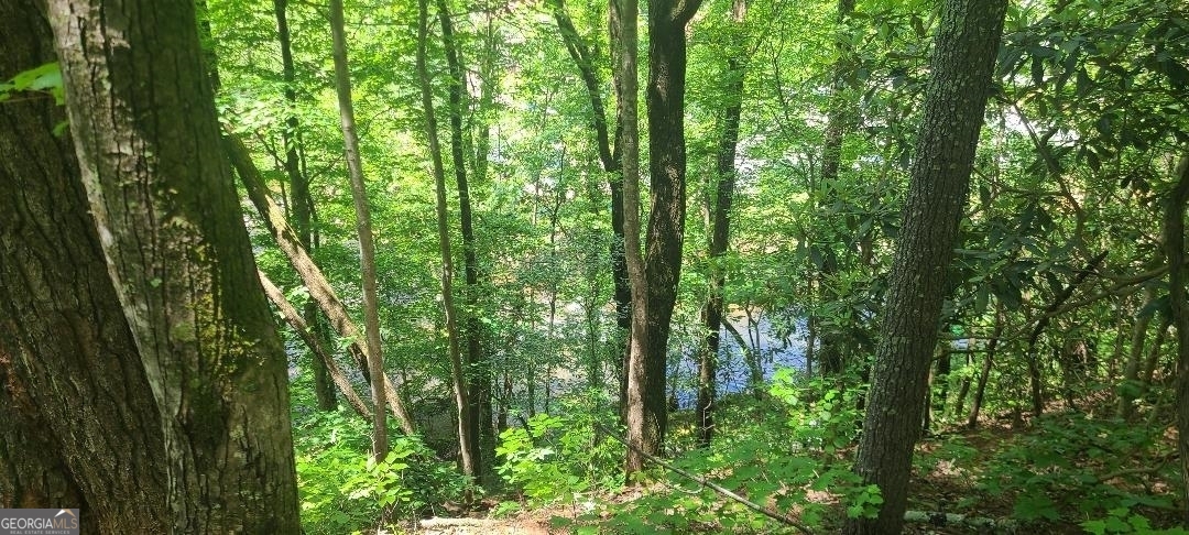 0 Ber Weg Helen, GA 30545 - Photo 1 of 9