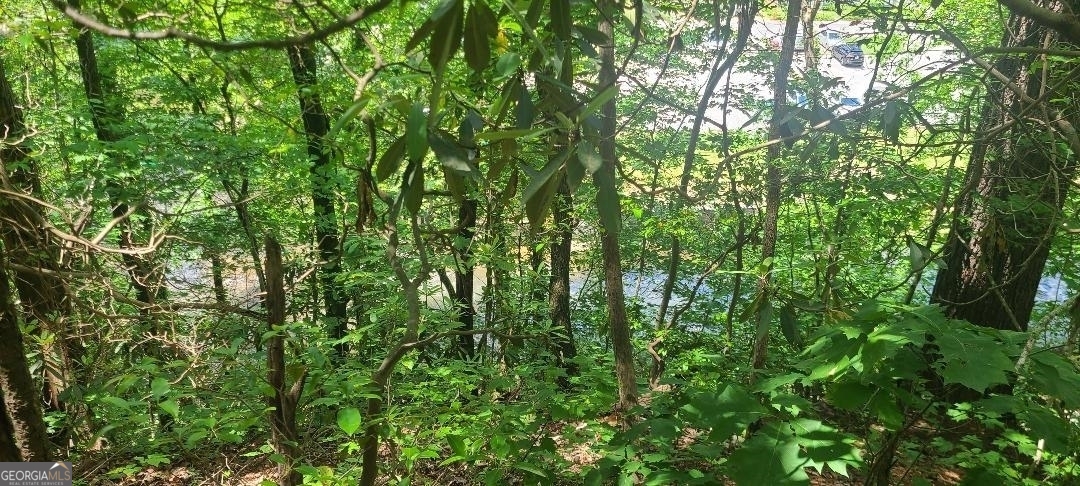 0 Ber Weg Helen, GA 30545 - Photo 4 of 9
