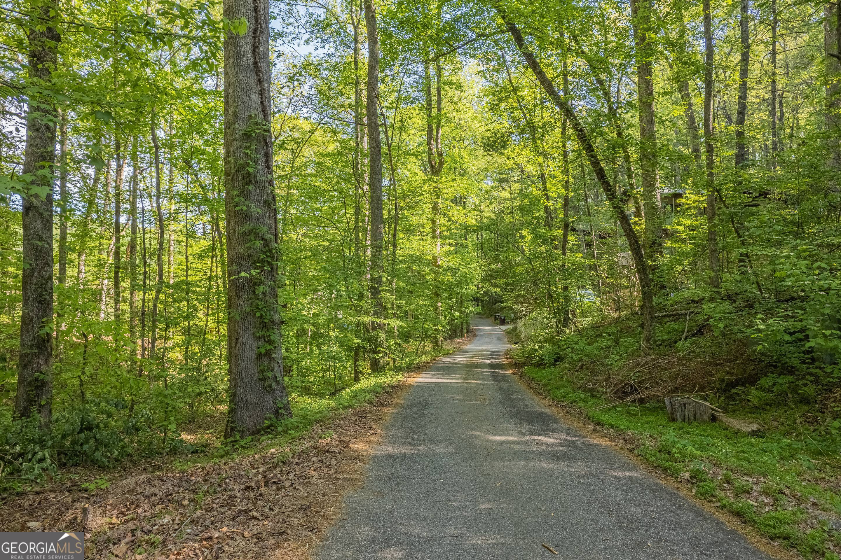0 Ber Weg Helen, GA 30545 - Photo 6 of 9
