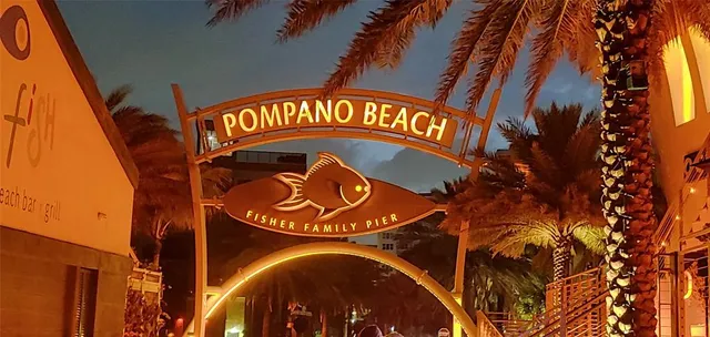a view of a yard with plants and palm trees