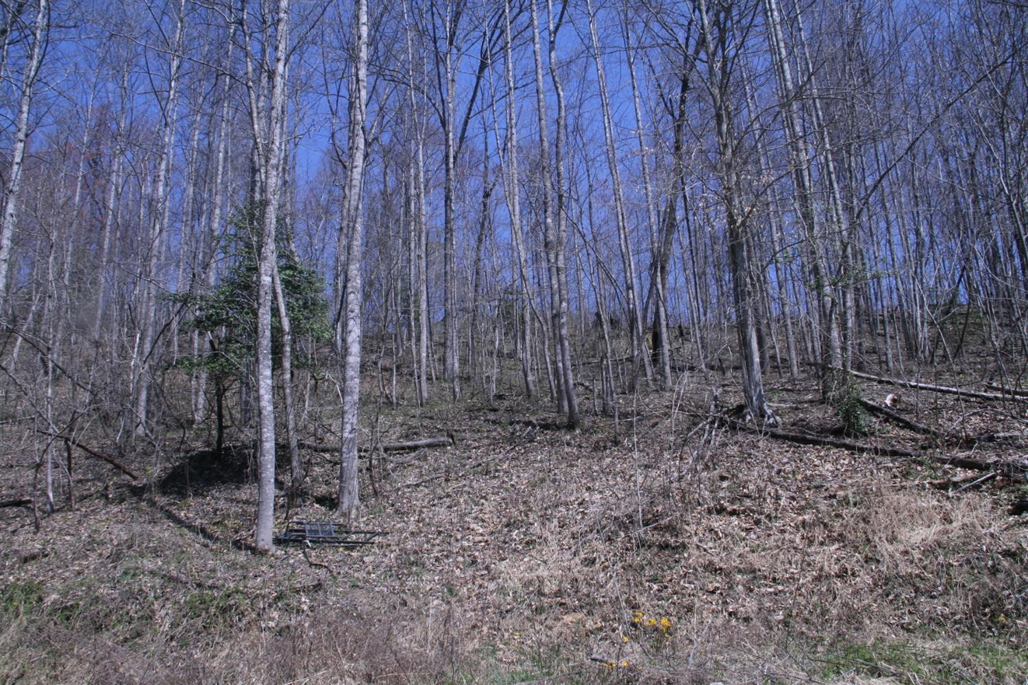 956 Kelse Holland Road Campton, KY 41301 - Photo 38 of 69 Photo 64