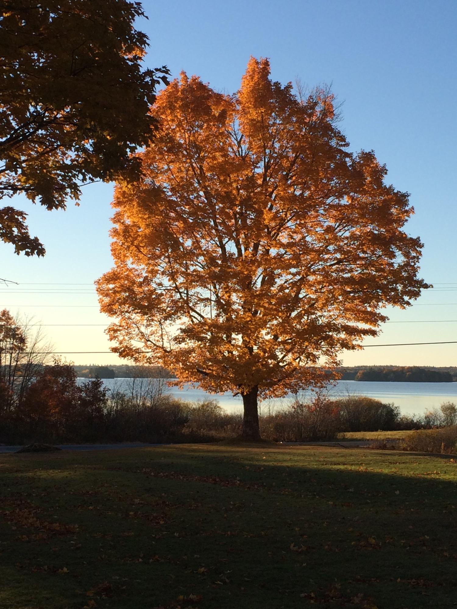 460 Mariaville Road Ellsworth, ME 04605 - Photo 4 of 44 View in the Fall