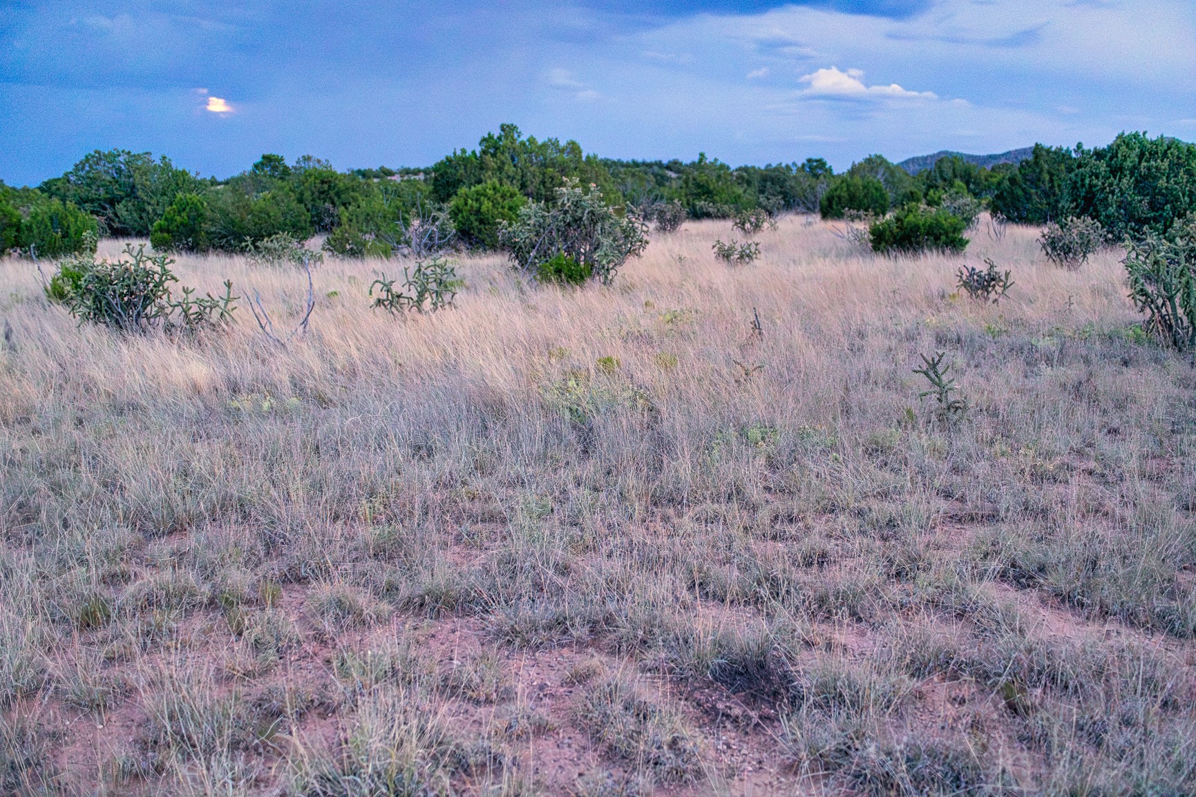 509 Gold Mine Road Cerrillos, NM 87010 - Photo 14 of 20