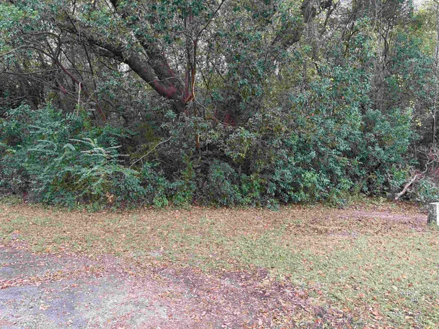 $59,000 | Xxx Greenway Drive, Havana, FL 32333