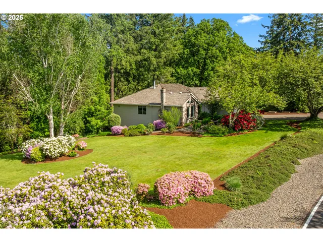 a view of a lush green field with lots of bushes