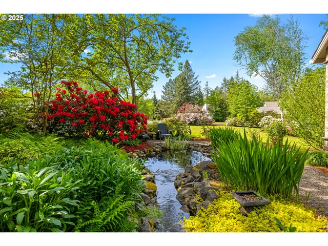 a picture of flowers