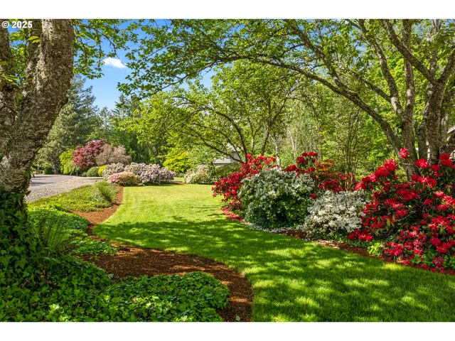 a view of an outdoor space and a yard