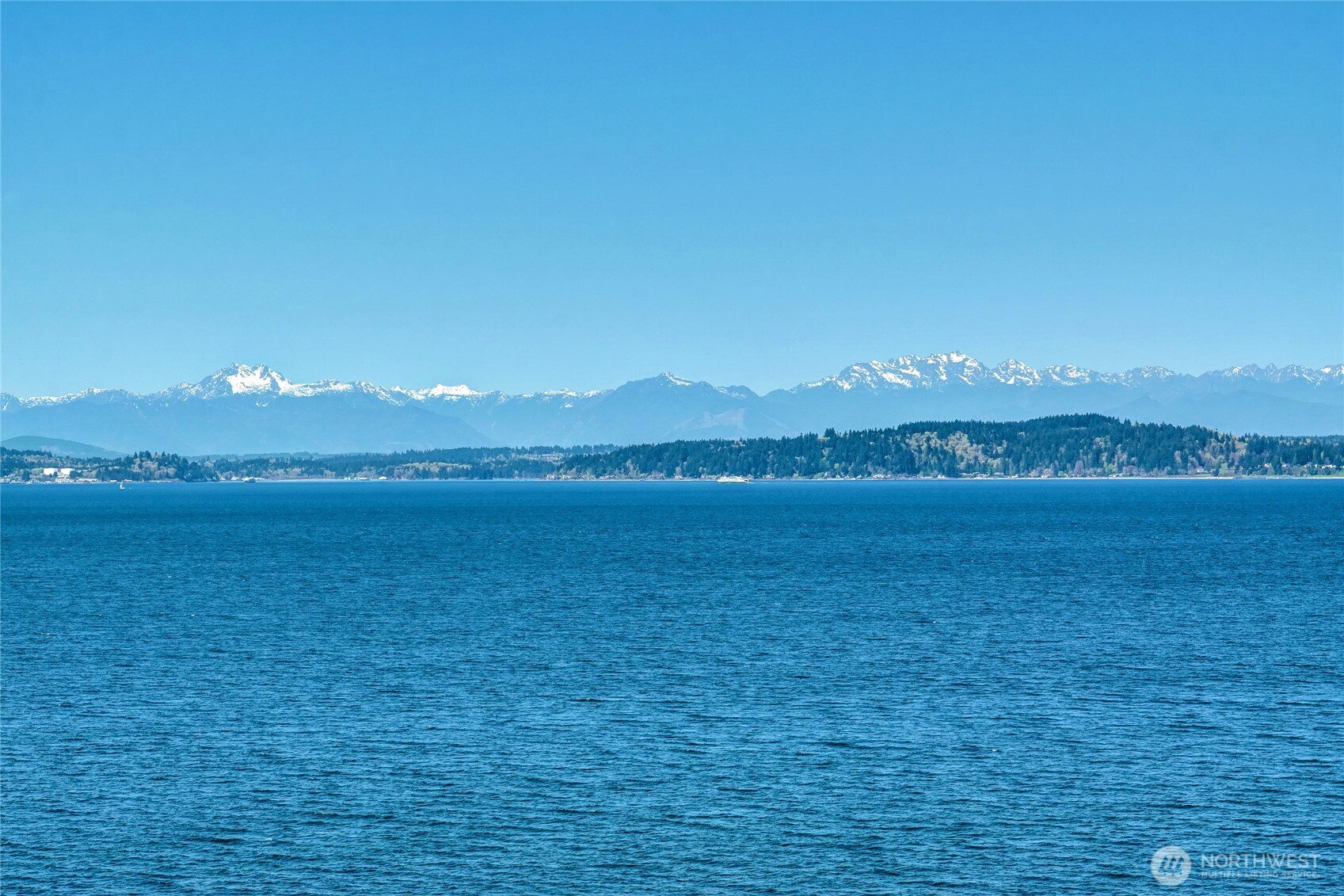 6029 Atlas Place Southwest Seattle, WA 98136 - Photo 34 of 35