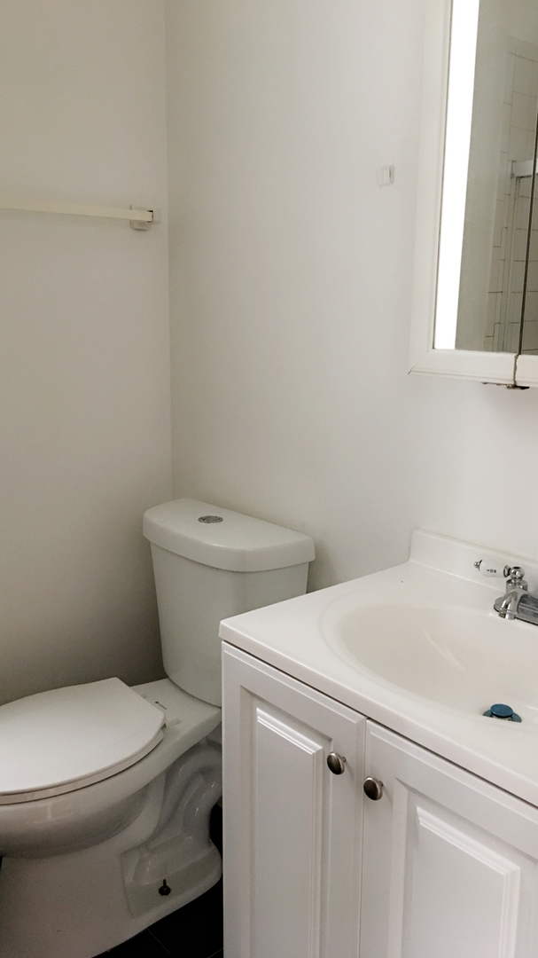 3636 West Cermak Road, Unit 2F Chicago, IL 60623 - Photo 4 of 5 a white toilet sitting next to a bathroom sink