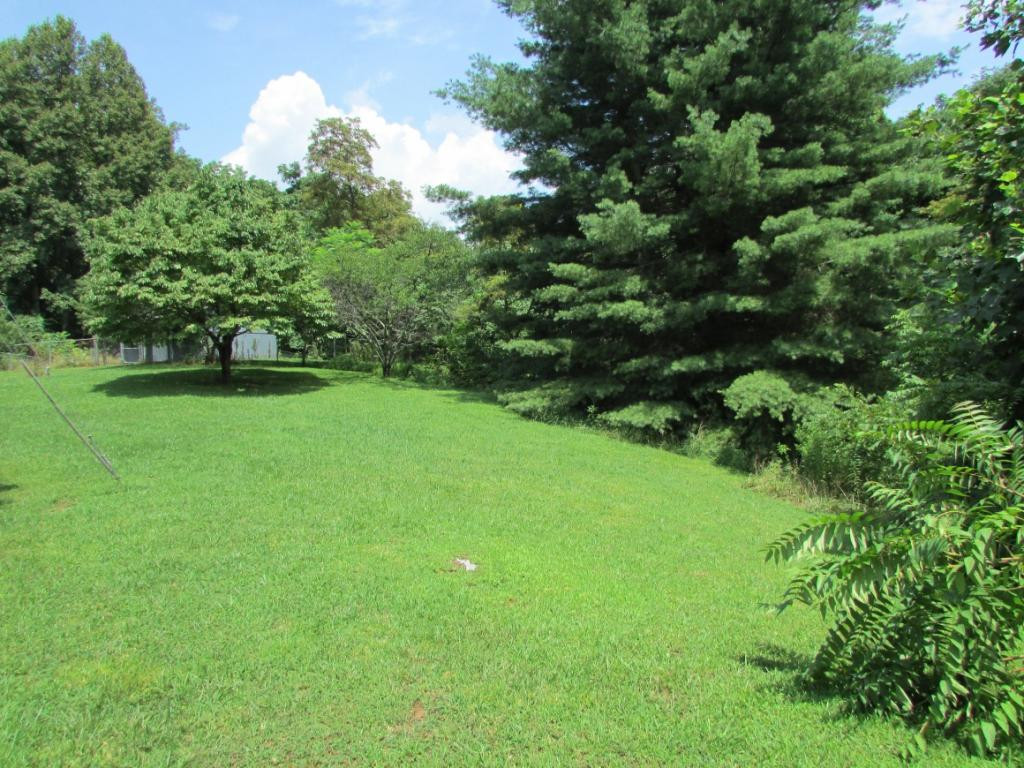 225 Short Coal Chute Road Elizabethton, TN 37643 - Photo 19 of 30 Photo 20