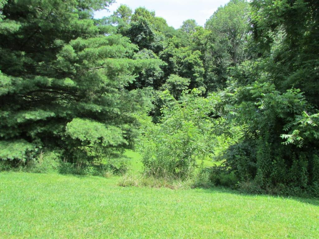 225 Short Coal Chute Road Elizabethton, TN 37643 - Photo 20 of 30 Photo 21
