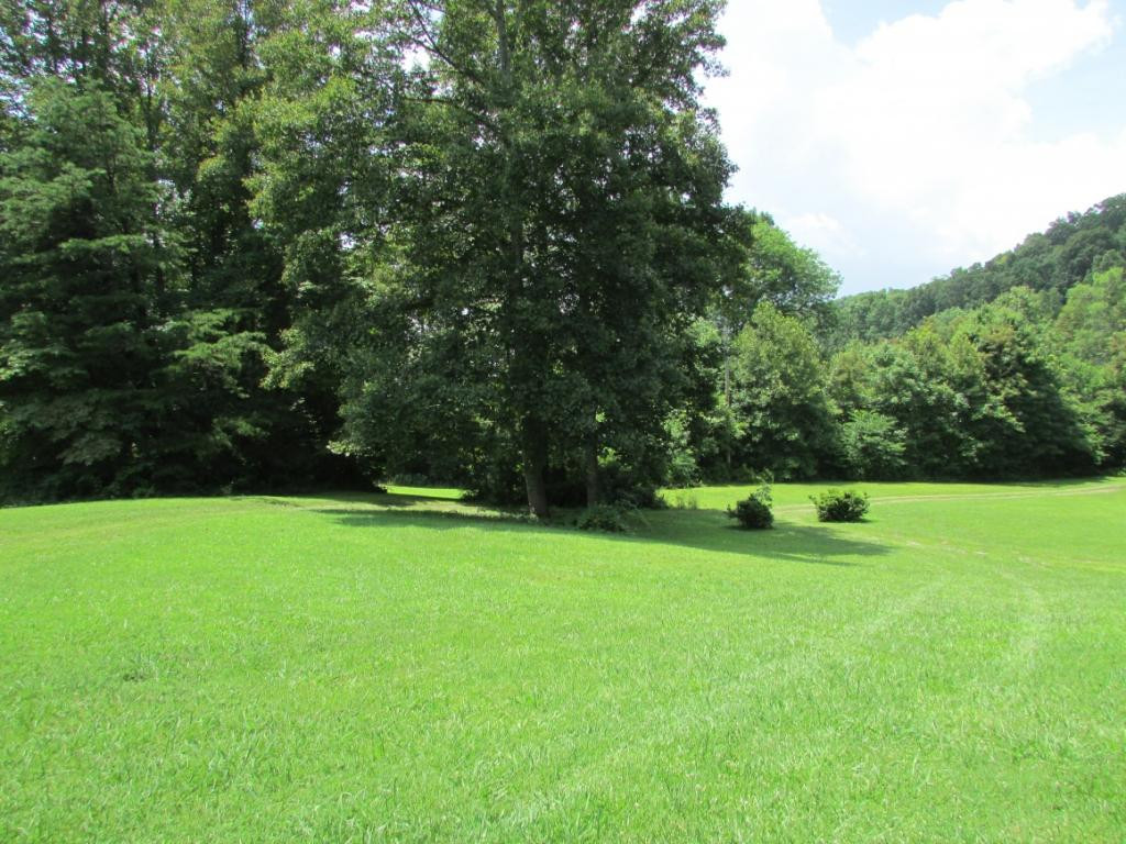 225 Short Coal Chute Road Elizabethton, TN 37643 - Photo 28 of 30 Photo 29