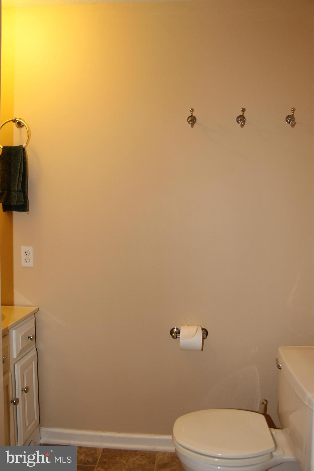15138 Ryland Chapel Road Rixeyville, VA 22737 - Photo 14 of 22 Bath (Master)