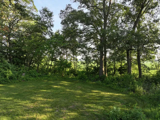a backyard of a house with lots of green space