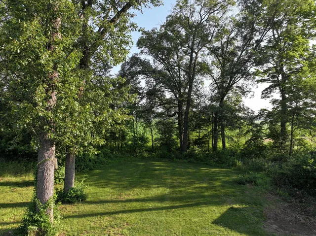 a backyard of a house with lots of green space
