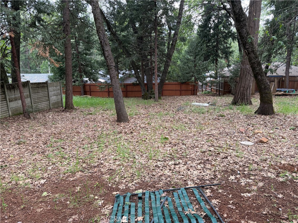 6402 Corning Court Magalia, CA 95954 - Photo 15 of 15 a view of a yard with plants and a large tree