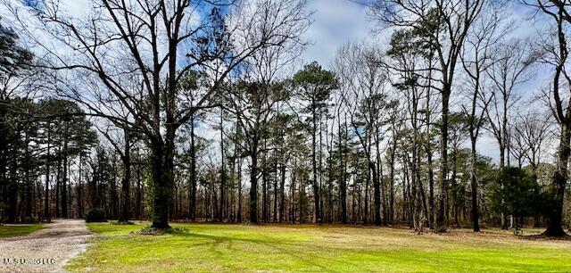 398 Old Pearl Road Harrisville, MS 39082 - Photo 5 of 86 IMG_1912