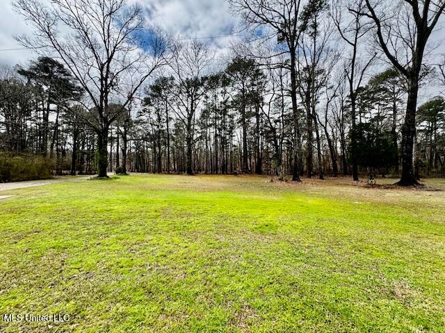 398 Old Pearl Road Harrisville, MS 39082 - Photo 7 of 86 IMG_1897