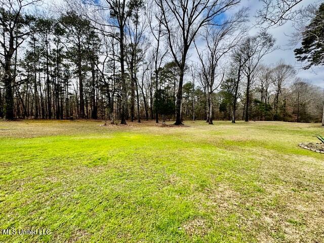 398 Old Pearl Road Harrisville, MS 39082 - Photo 8 of 86 IMG_1898