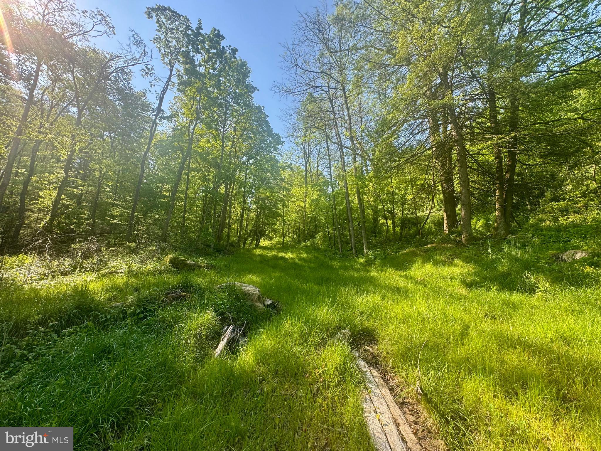 Tract B John Orr Road Independence, WV 26374 - Photo 24 of 30