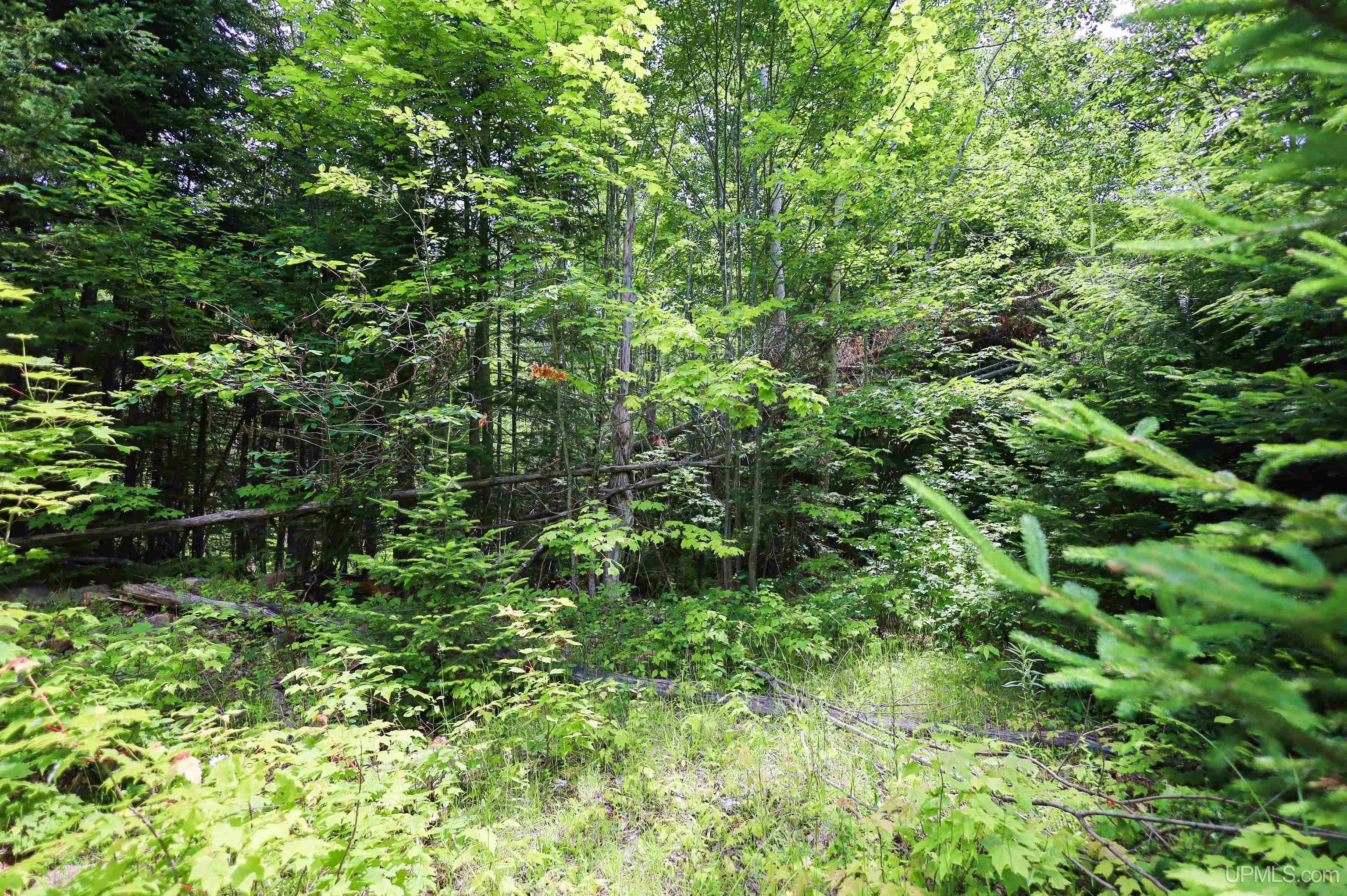 Tbd Sigan Road Marquette, MI 49855 - Photo 24 of 32