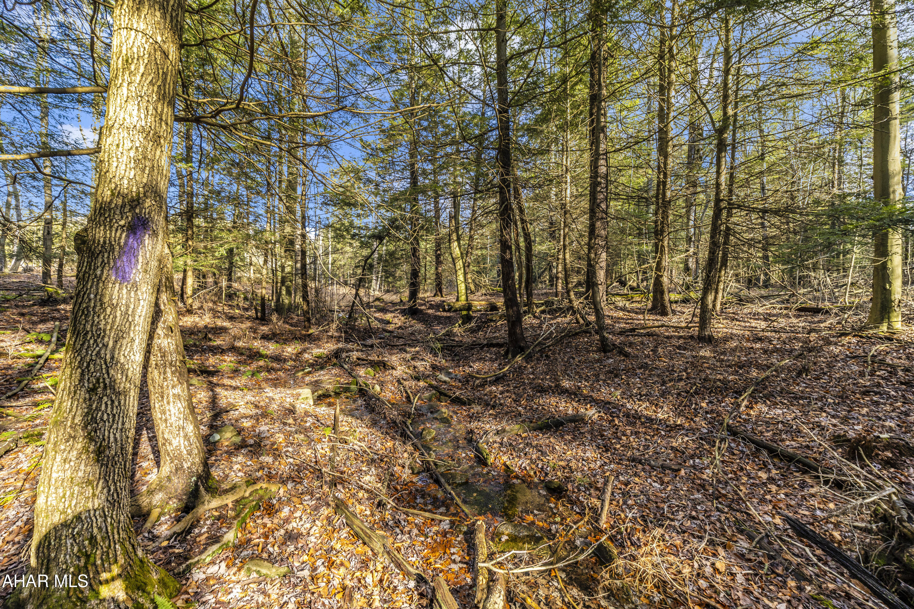 0 Lot 6 Mountain Road Road Lilly, PA 15938 - Photo 20 of 33