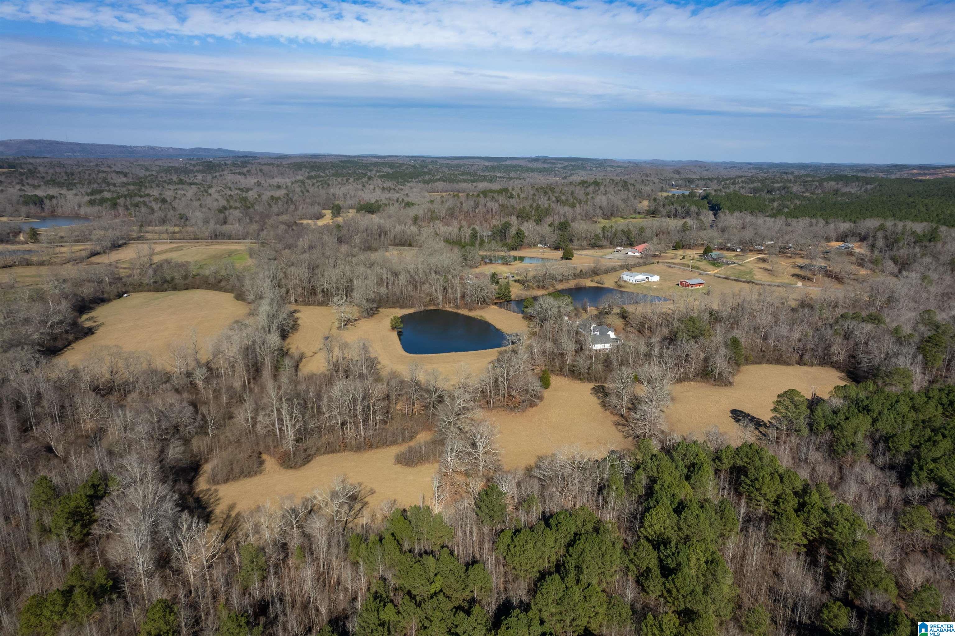 4875 Camp Creek Road South Pell City, AL 35128 - Photo 46 of 47