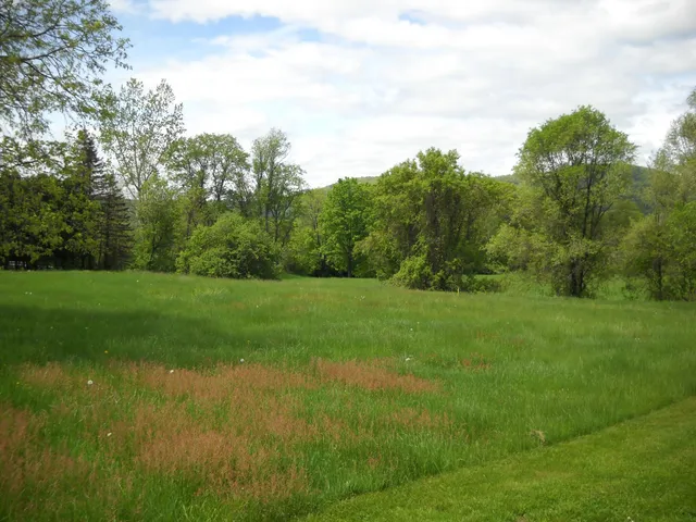 $99,000 | 0 Route 10 Orford Nh 03777, Unit LOT 2, Orford, NH 03777