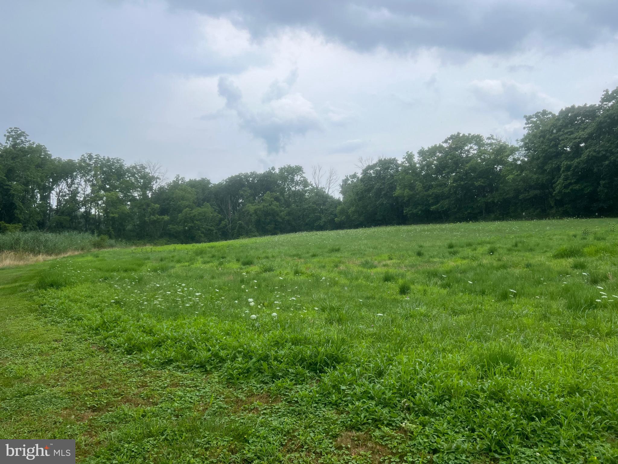 1685 State Road Coopersburg, PA 18036 - Photo 8 of 10 Pasture area