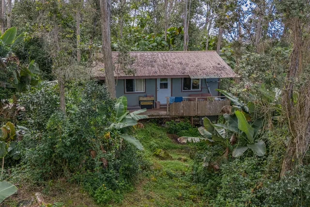 an aerial view of a house with a yard and large trees