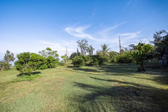 a view of a big yard with large trees