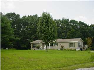 0 Bob Sapp Road Pikeville, TN 37367 - Photo 1 of 1 Primary Photo
