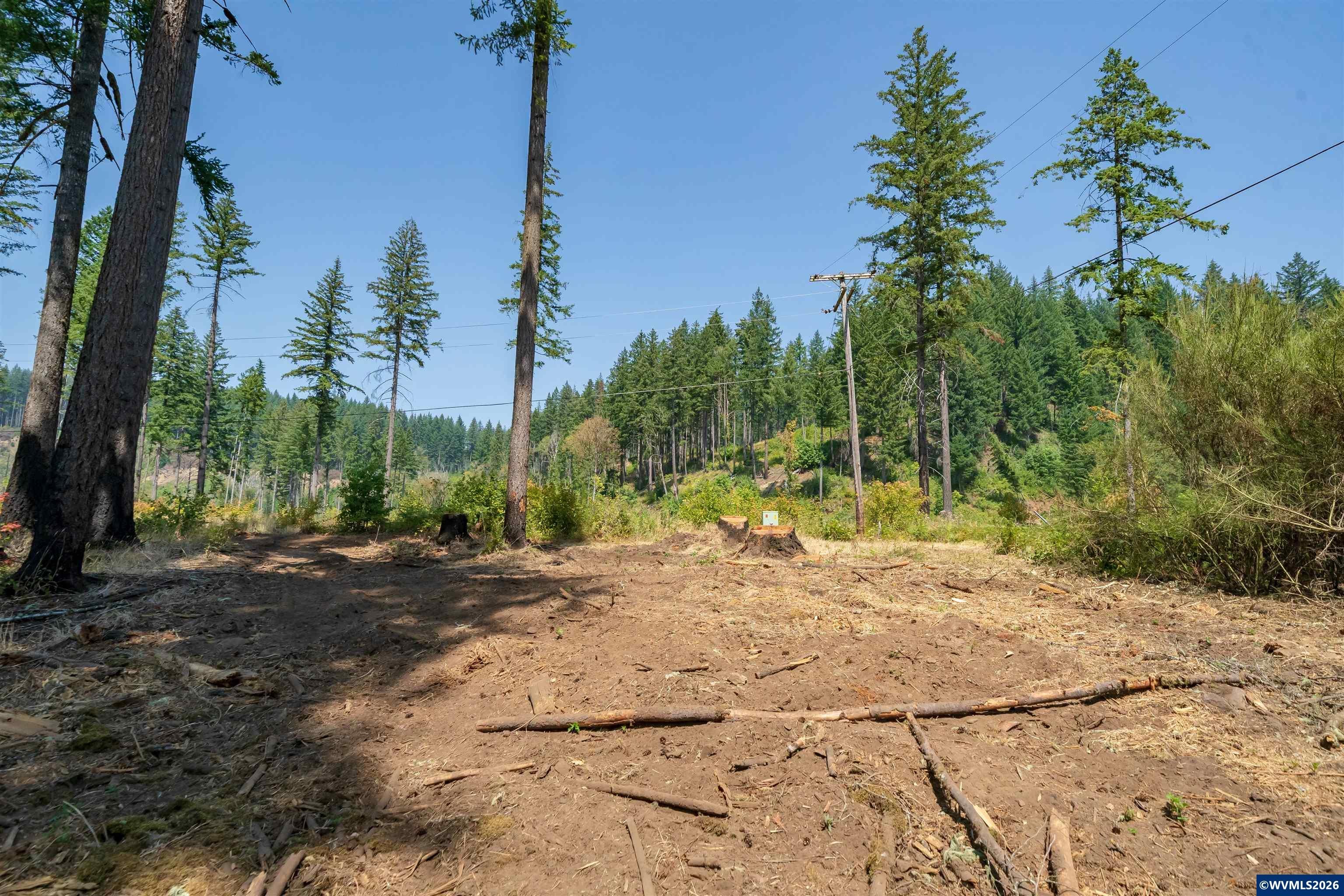 Lot 1101 Santiam Park Road Lyons, OR 97358 - Photo 12 of 18 Gallery Image 12